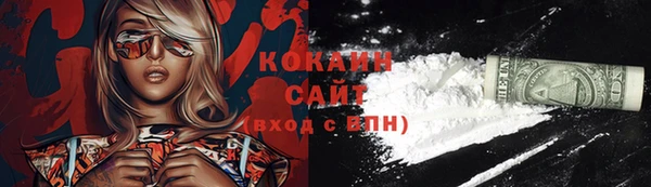 прущие грибы Аркадак