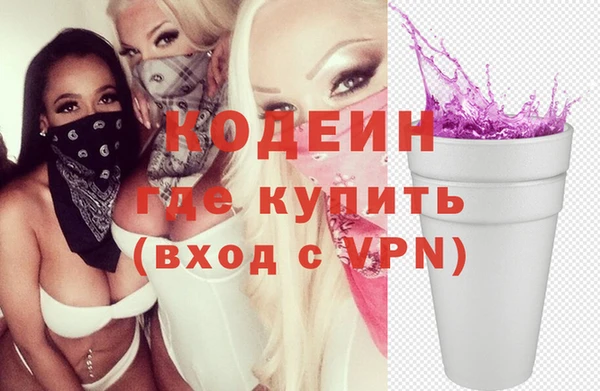 шишки Арсеньев