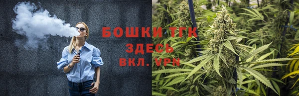прущие грибы Аркадак