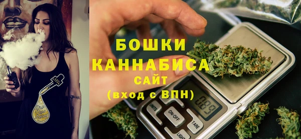 шишки Арсеньев