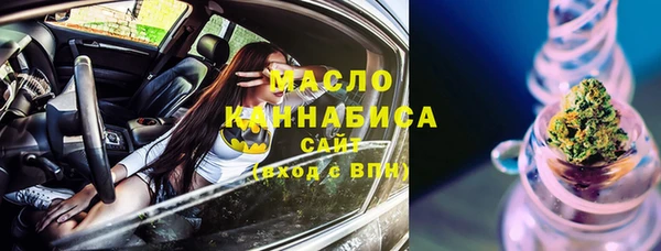 шишки Арсеньев