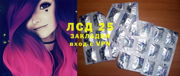 прущие грибы Аркадак