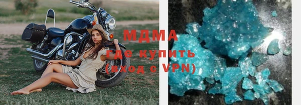 прущие грибы Аркадак