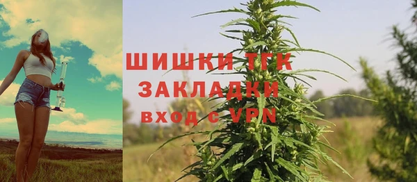 прущие грибы Аркадак