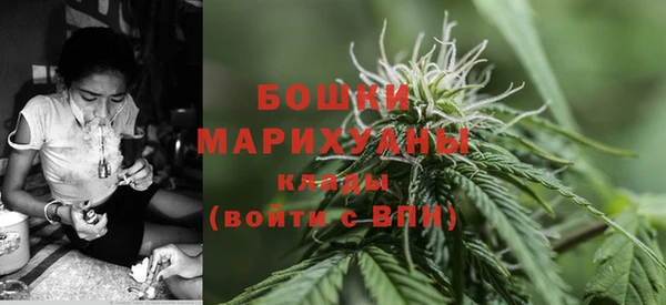 шишки Арсеньев